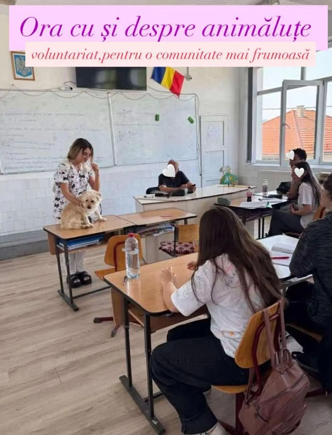 O voluntară prezintă un cățel elevilor la clasă
